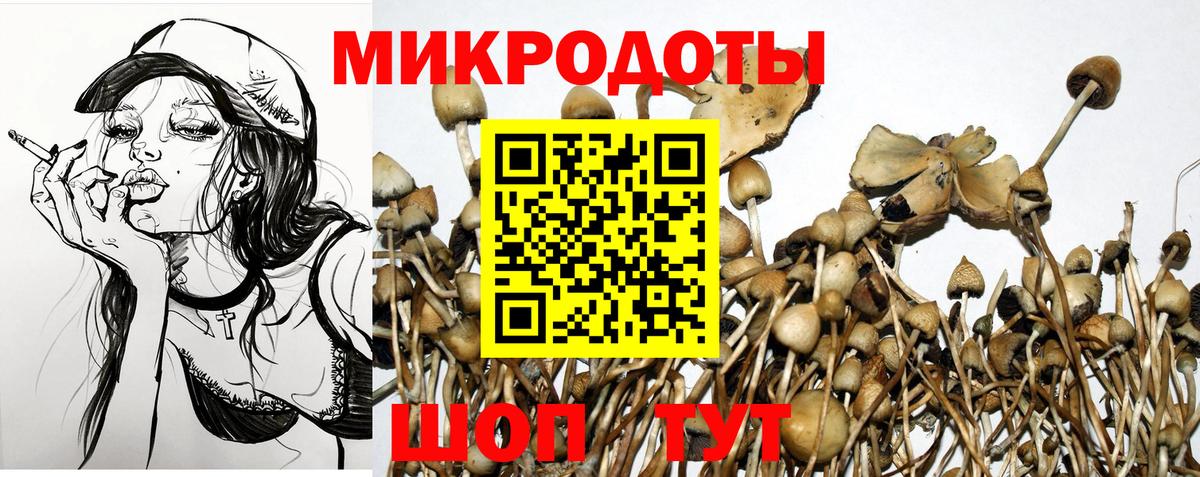 Псилоцибиновые грибы Magic Shrooms Курган